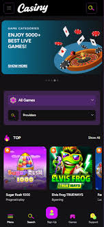 Discover the Thrilling World of Cash Pig