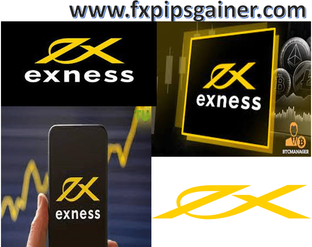 Understanding Exness Withdrawal Rejected Common Causes and Solutions
