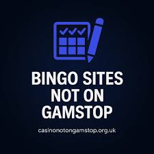 Bingo Sites That Don't Use GamStop -720116152