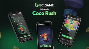 Understanding BC.Game Payments A Comprehensive Guide 1687761066