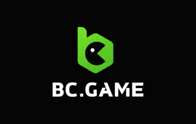 Understanding the Mechanics of BCGame A Comprehensive Overview